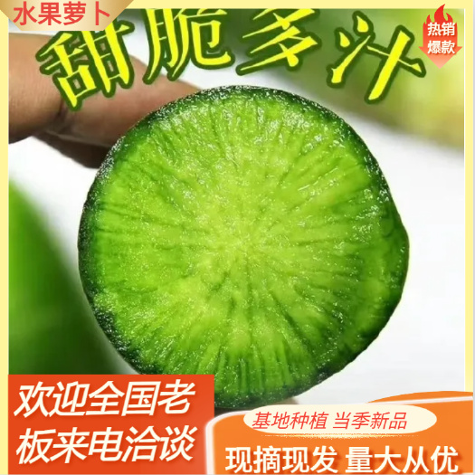 潍坊潍县萝卜  潍县青萝卜产地直供价格便宜