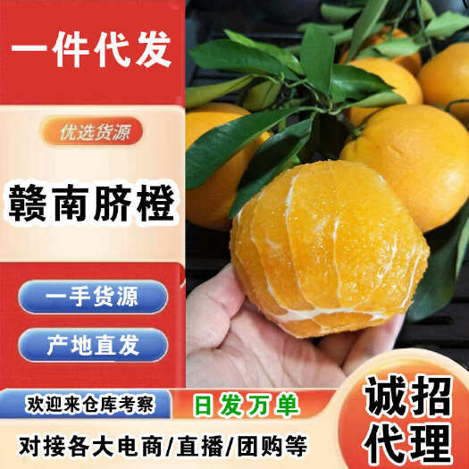 赣州赣南脐橙一件代发产地直发一手货源对接各大电商平台