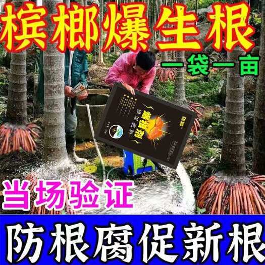 栾川县槟榔树专用肥快速生根灌根药防腐烂根促生根壮苗生根液防病害槟榔