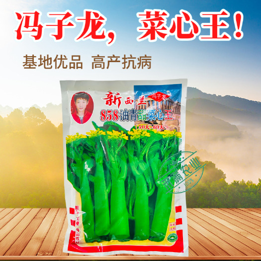 武汉广东甜菜心特甜脆菜苔芯种子绿菜苔耐热寒蔬菜籽四季播
