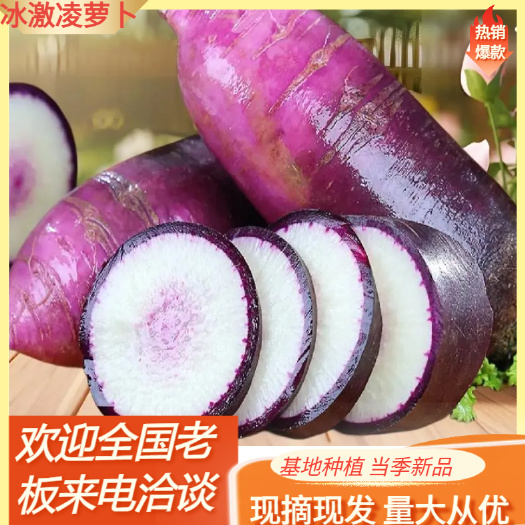 冰激凌水果萝卜，冰糖心水果萝卜。山东潍坊产地直销
