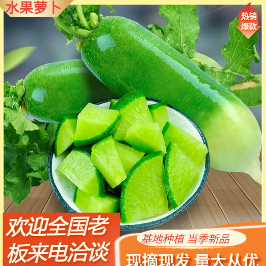 潍坊潍坊青萝卜水果萝卜冰激凌水果萝卜。人工免费！产地批发价格便宜