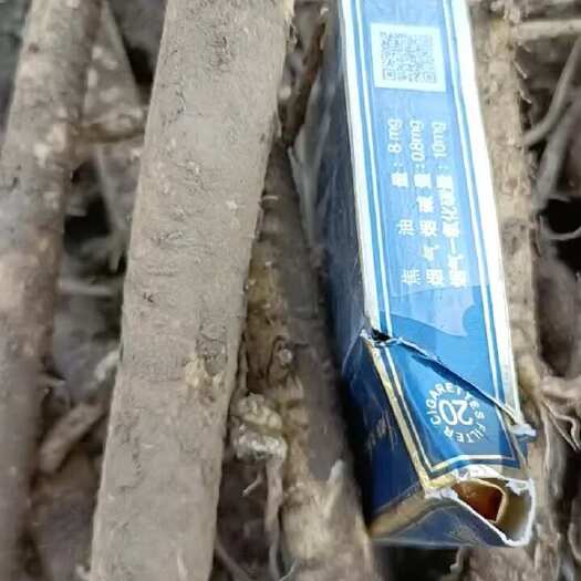 民乐县甘肃省张掖市民乐县优质黄芪中药材批发
