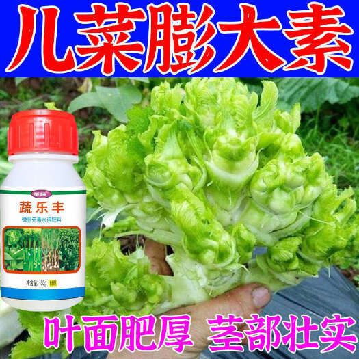 栾川县儿菜专用膨大素儿菜控旺剂芽包增多根茎膨大娃娃菜儿菜嫩粗壮肥料