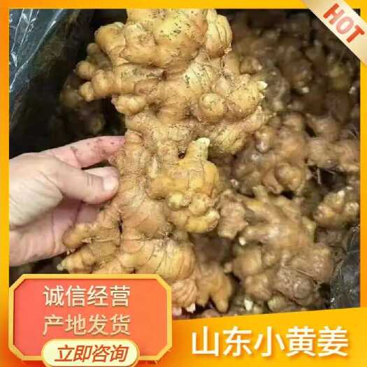 沂水县小黄姜，货源充足，支持全国各地发货，