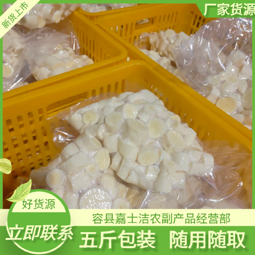 容县木薯 一手货源