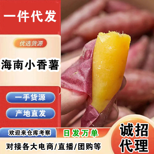 海南小香薯一件代发产地直发一手货源对接各大电商平台