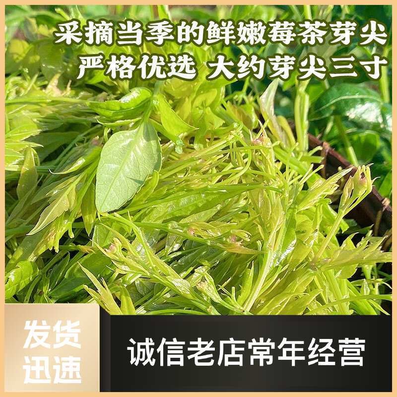 花草茶头茬野藤茶嫩芽明前嫩芽湖南衡阳藤茶莓茶