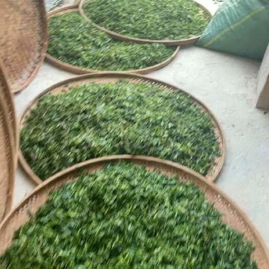 镇沅县绿茶