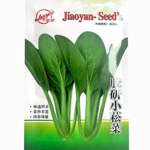 寿光市胶研小松菜种子 耐寒耐热耐湿 脆甜四季小青菜蔬菜种子