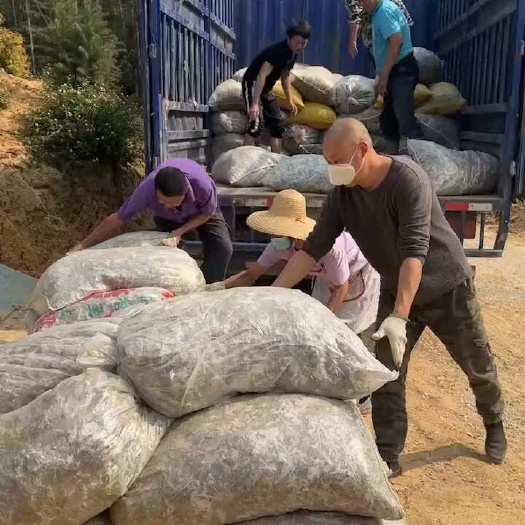 大量优质鸽粪出售，果树下肥的好有效农家有机肥，价格实惠，肥