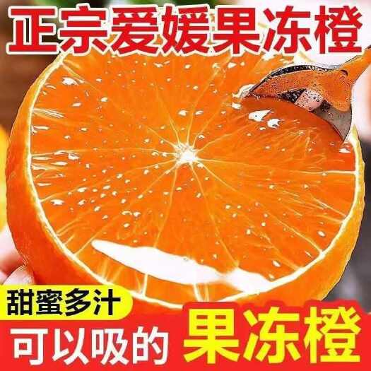 金堂县四川爱媛果冻橙  圆润饱满  皮薄肉厚  甘甜可口全国包邮价