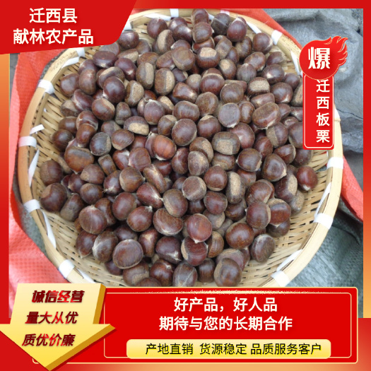 迁西县河北迁西板栗优质生鲜栗子糖炒栗子各种规格油栗