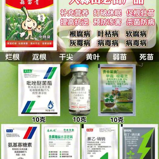 尉氏县爱德农-蒜苗青