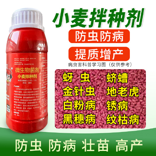 寿光市小麦拌种剂拌麦多效包衣剂种衣剂小麦拌种防虫病害批发微生物菌剂