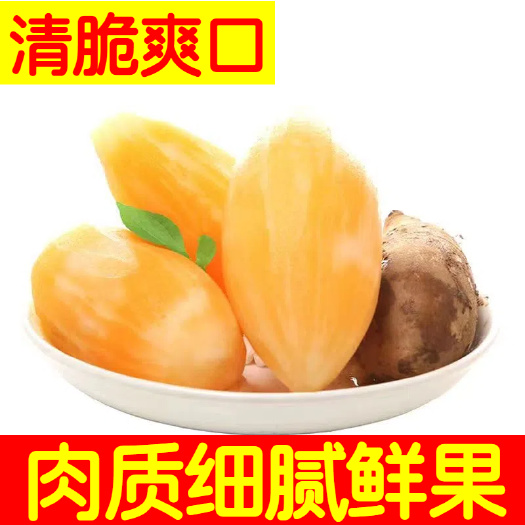 雪莲果现货25年5月20日上巿一件代发，社区团购供货批发