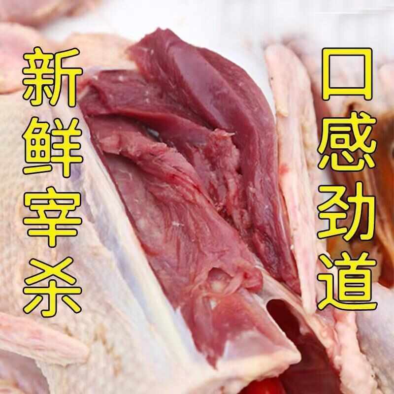 【顺丰包邮】正品老土鸭麻鸭现货供应可一件代发