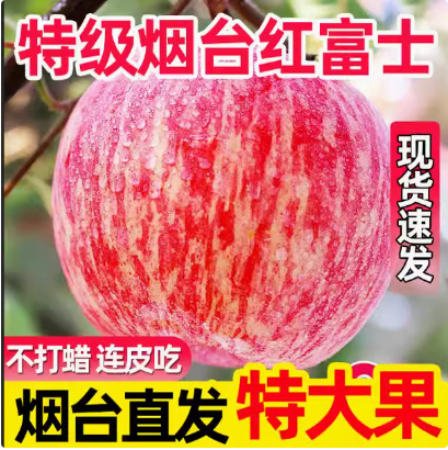 山东红富士苹果产地直销一手货源常年供应