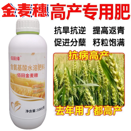 潍坊【金麦穗】小麦高产专用叶面肥分蘖抗倒伏缩节灌浆肥增产水溶肥料