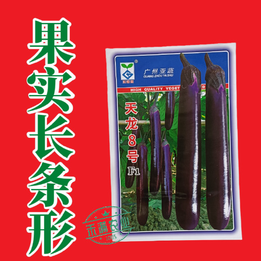 亚蔬天龙8号茄子种子紫红粗茄良种早春种植抗病大棚大田蔬菜种籽