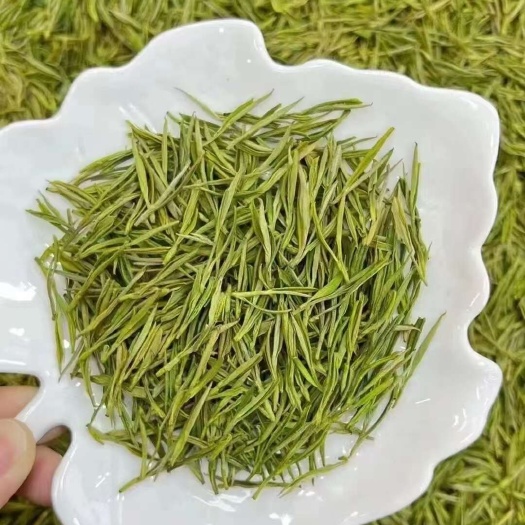 万源市安吉白茶