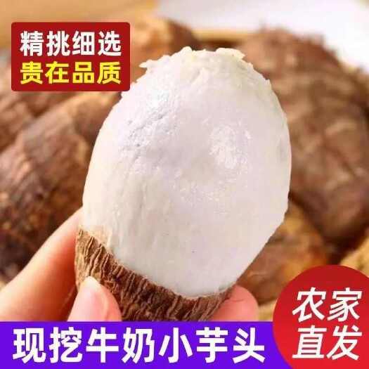 长沙【软糯香甜】新鲜小芋头毛芋头香芋软粉糯芋艿应季蔬菜