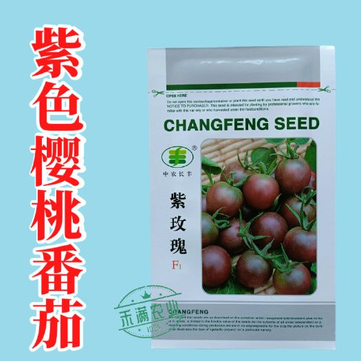 樱桃番茄种子小番茄种子水果西红柿种子口感型早熟圣女果杂交一代