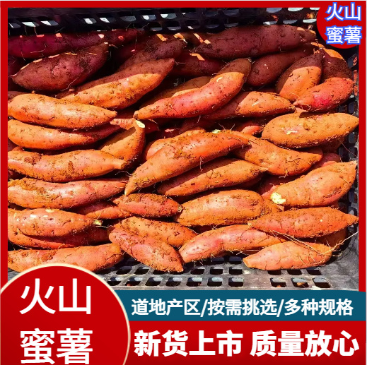 云南火山西瓜红蜜薯产地直供现挖现发 商超烤薯软糯香甜度高