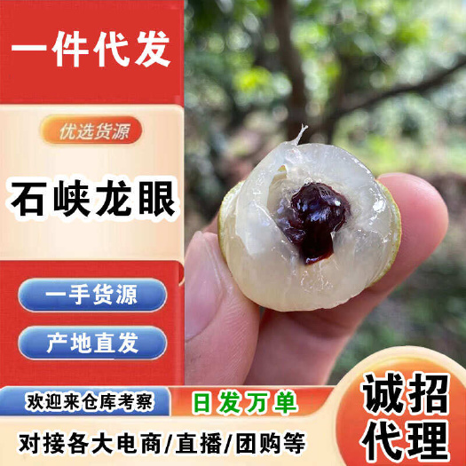海口海南石峡龙眼一件代发产地直发一手货源对接各大电商平台