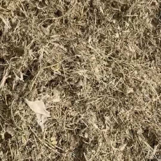 大城县花生秧子草料