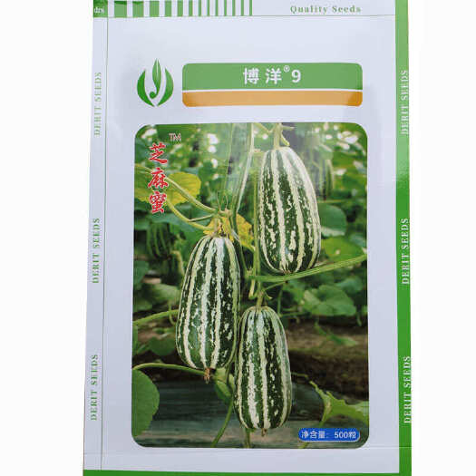 济南博洋9九号甜瓜种子杂交种 芝麻香瓜薄皮高糖早熟耐运基地型专用