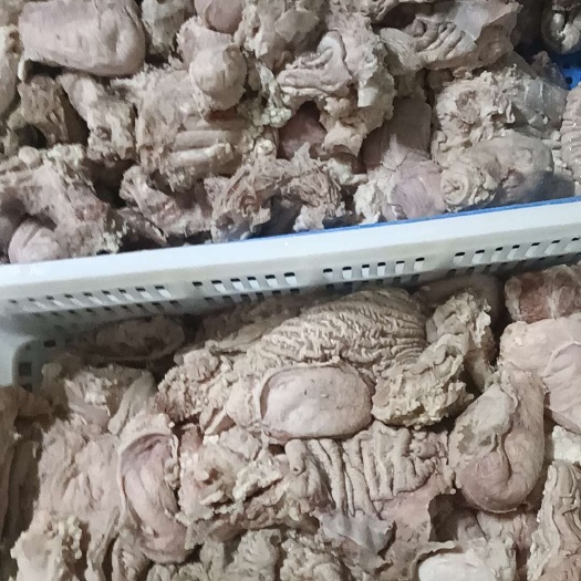 牛肠头，产品实拍，冷链物流发货