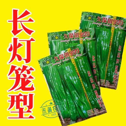 武汉回头客多久保田999辣椒种子早熟大果薄皮味辣绿皮坐果能力强大