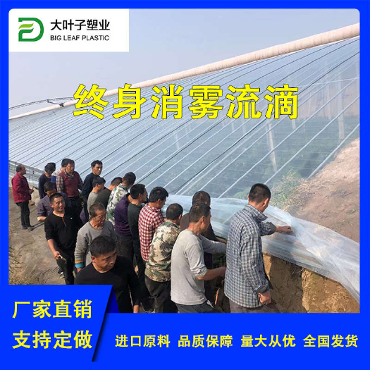 寿光市大棚膜水晶PO膜塑料膜流滴消雾防尘防静电膜无滴膜