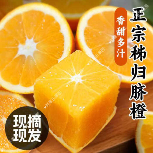 秭归县超优惠伦晚秭归脐橙榨汁果