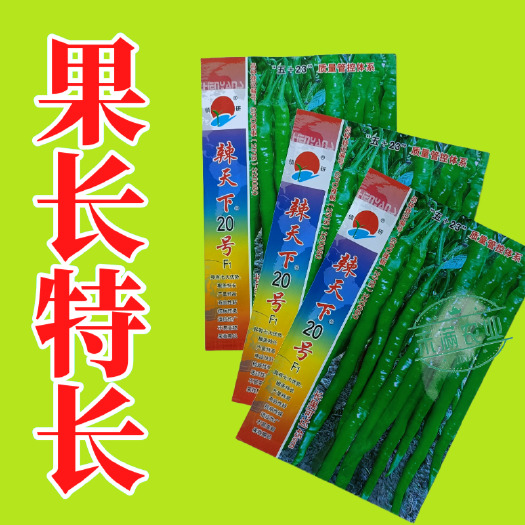 武汉辣天下20辣椒椒种子高产早熟青辣椒微辣种籽辣椒超长种子大全