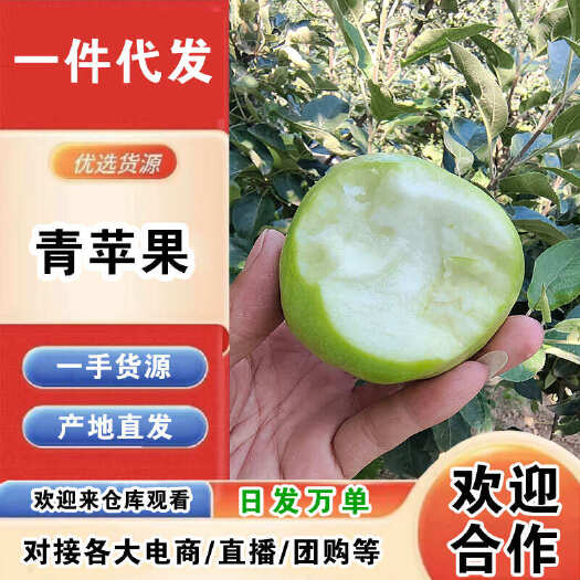 山西青苹果一件代发产地直发一手货源对接各大电商平台