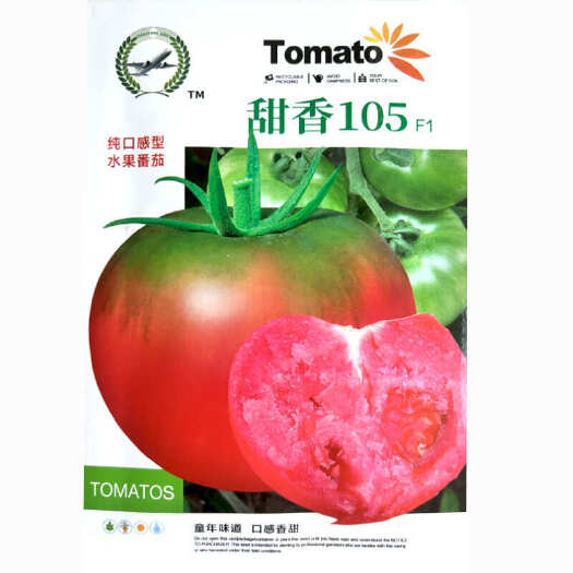济南草莓番茄种子 绿肩柿子早熟 甜香105铁皮水果籽绿肩番茄蔬