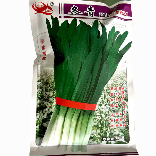 寿光市大宽韭菜种子 冬青F1航韭10号不休眠 抗寒耐热耐湿