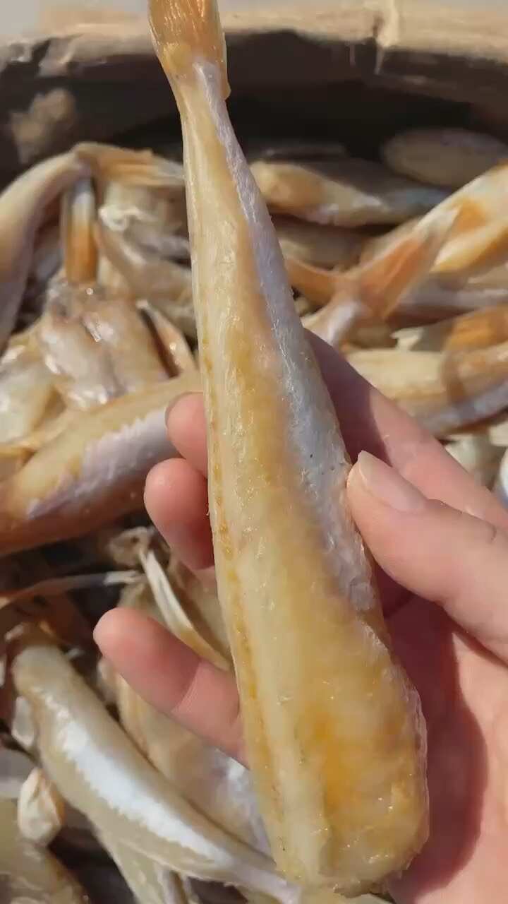 滨州红娘鱼干 皮棍鱼干 一款咸鱼大小规格齐全 一手货源 常年供货