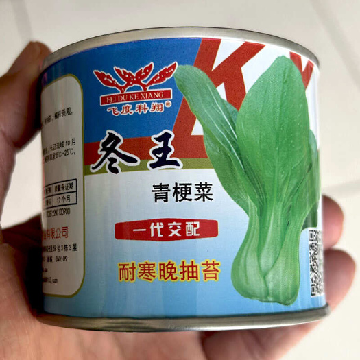 寿光市冬王青梗菜种子一代杂交 耐寒 耐热早春种植基地
