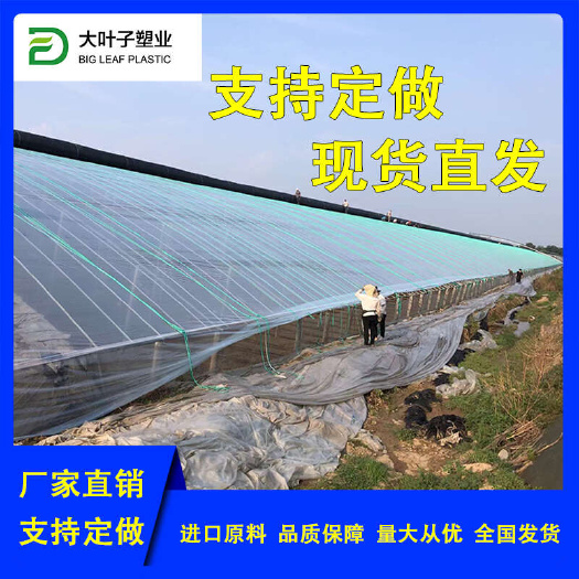 薄膜塑料布精品5+1PO膜高保温高透光抗老化薄膜