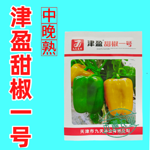 武汉黄色甜椒种子灯笼辣椒阳台四季秧彩椒蔬菜幼苗秧苗菜苗种籽孑种植