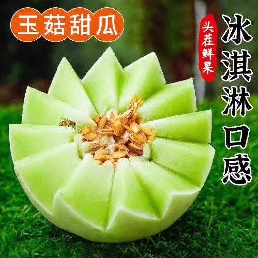乐东县正宗海南冰淇淋玉菇甜瓜3斤当季新鲜软糯香甜奶香蜜