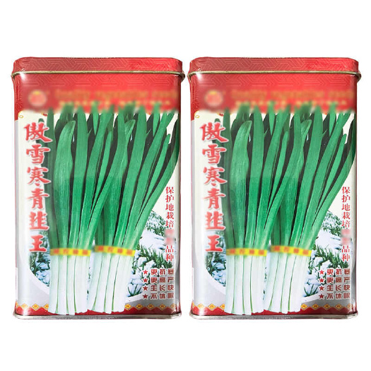 郑州傲雪寒青韭菜种子 抗寒直立 白长叶宽 叶色浓绿