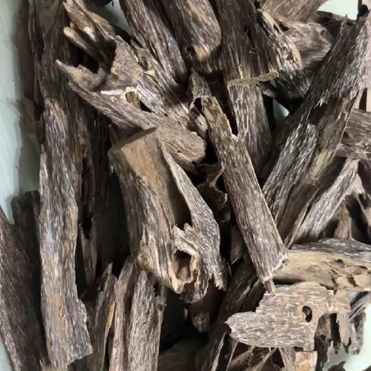 化州市沉香虫漏货