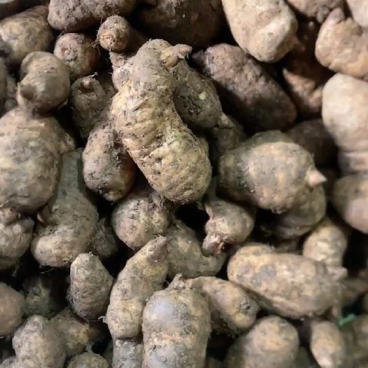 镇雄县云南省昭通市彝良县产天麻 中药材滋补药材 新鲜发货