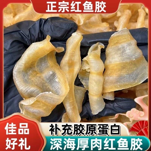 遂溪县花胶干货、红鱼胶红鳘鱼胶、酒店专用、批发，即食奶炖材料