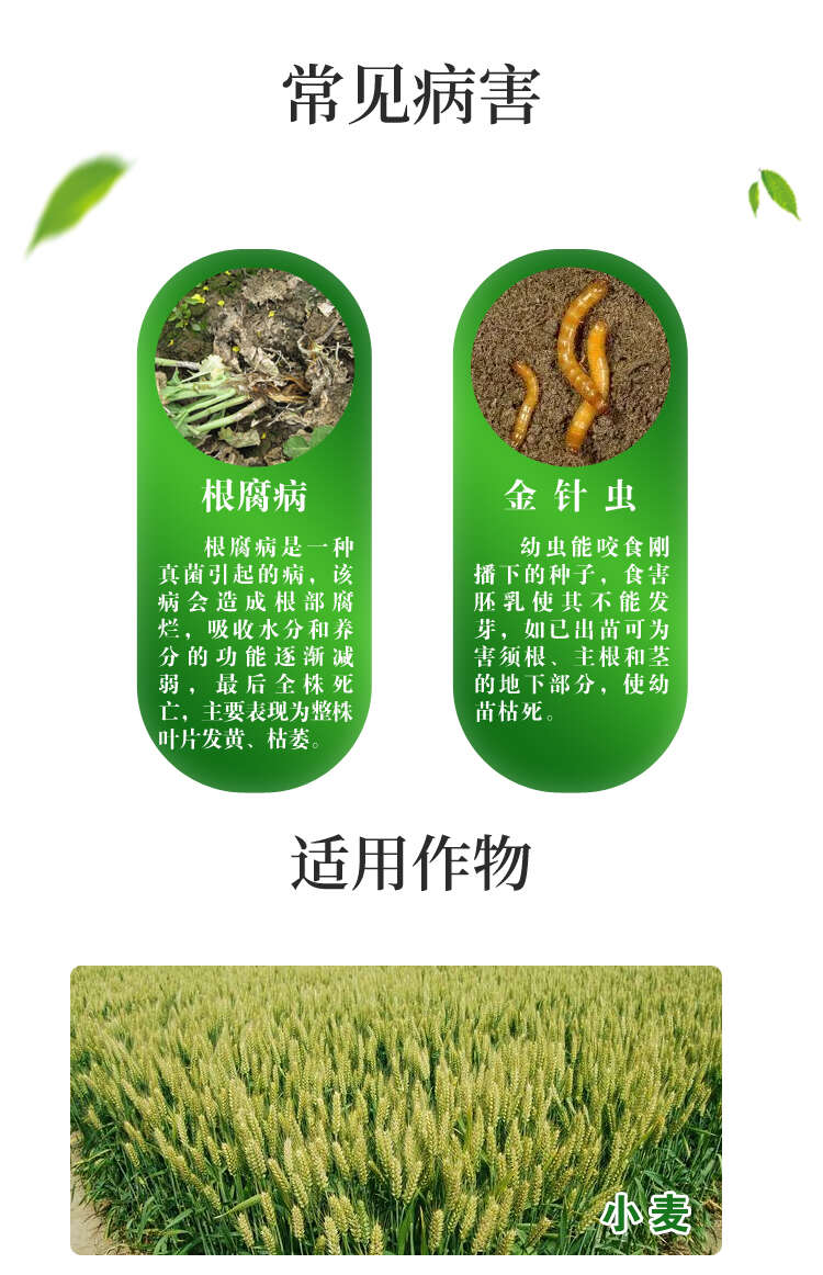 穗针多35%苯醚·咯·噻虫农用根腐病金针虫拌种剂批发