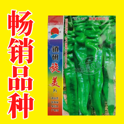 武汉正宗螺丝椒种子镇研旋美F1辣椒种子丰产特大陇椒巨螺丝椒种籽